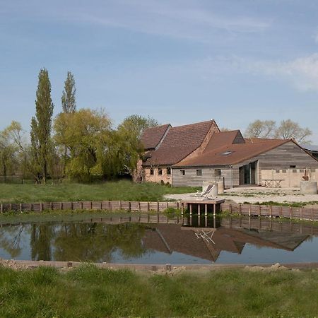 Landelijk Vakantiehuis In Diksmuide Met Een Tuin En Vijver Luaran gambar