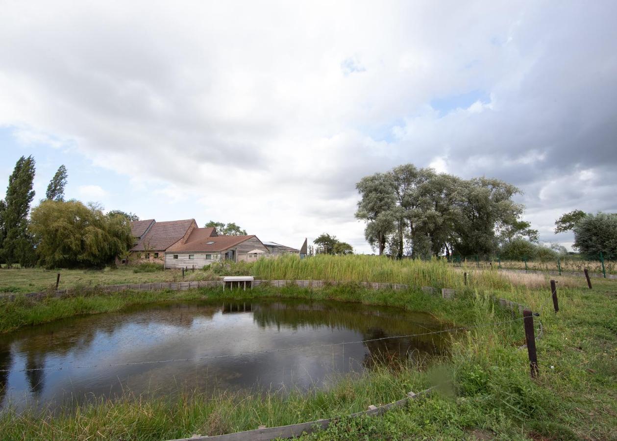Landelijk Vakantiehuis In Diksmuide Met Een Tuin En Vijver Luaran gambar