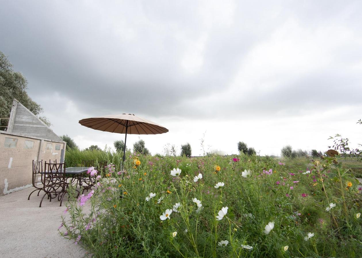 Landelijk Vakantiehuis In Diksmuide Met Een Tuin En Vijver Luaran gambar